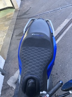 Klein (IMG_2511).jpeg